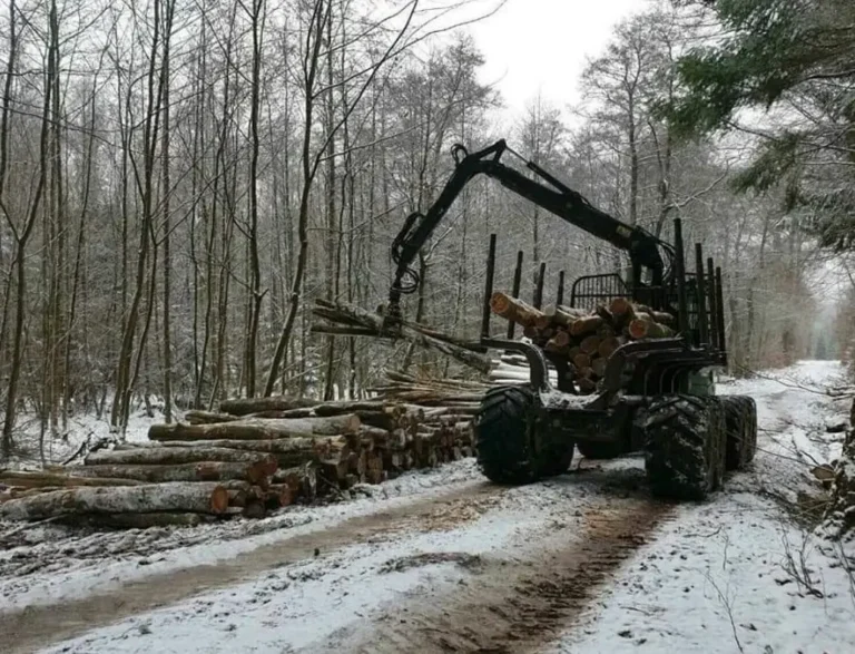 WhatsApp Image 2024-06-16 at 22.14.54 (2)