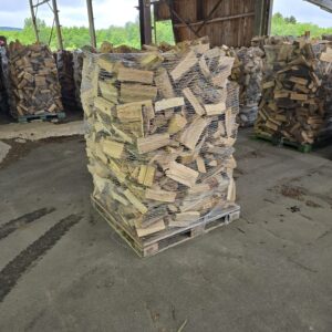 Buche auf Palette (Trockenkammer)